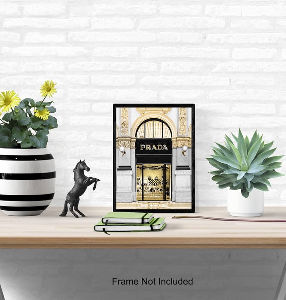 Amazon.com: Photo of Prada Store - Glam Living Room Decor